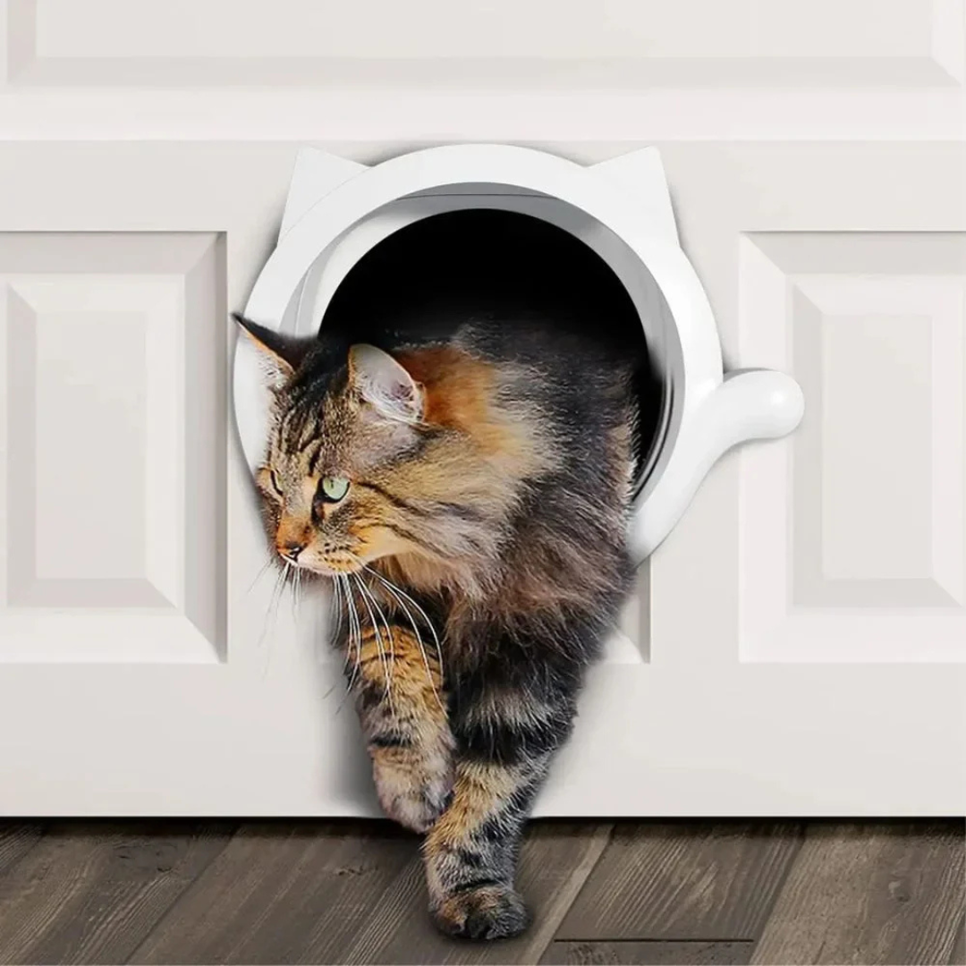 Leon | 4-Way Locking Cat Flap Door | Auto Close