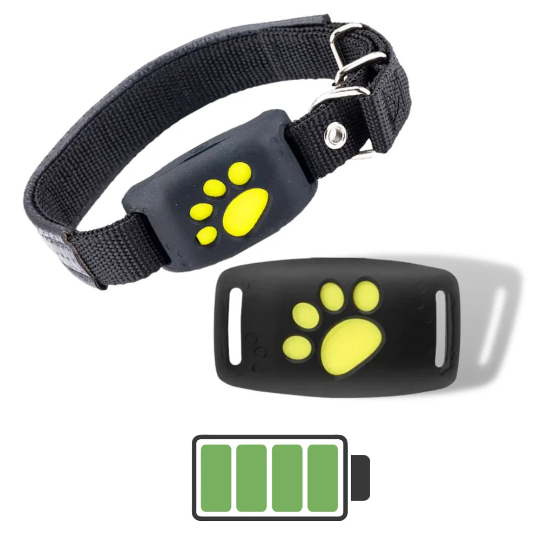 Dog GPS Trackers