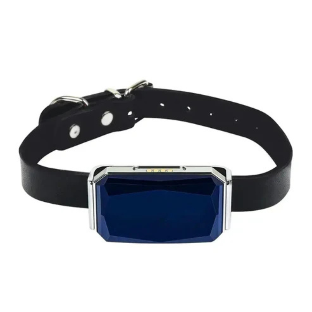 Thomas | Gps Collar For Pets | Tracking